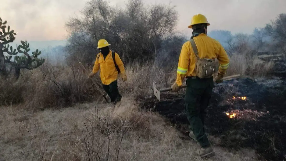 INCENDIOS FORESTALES (3)